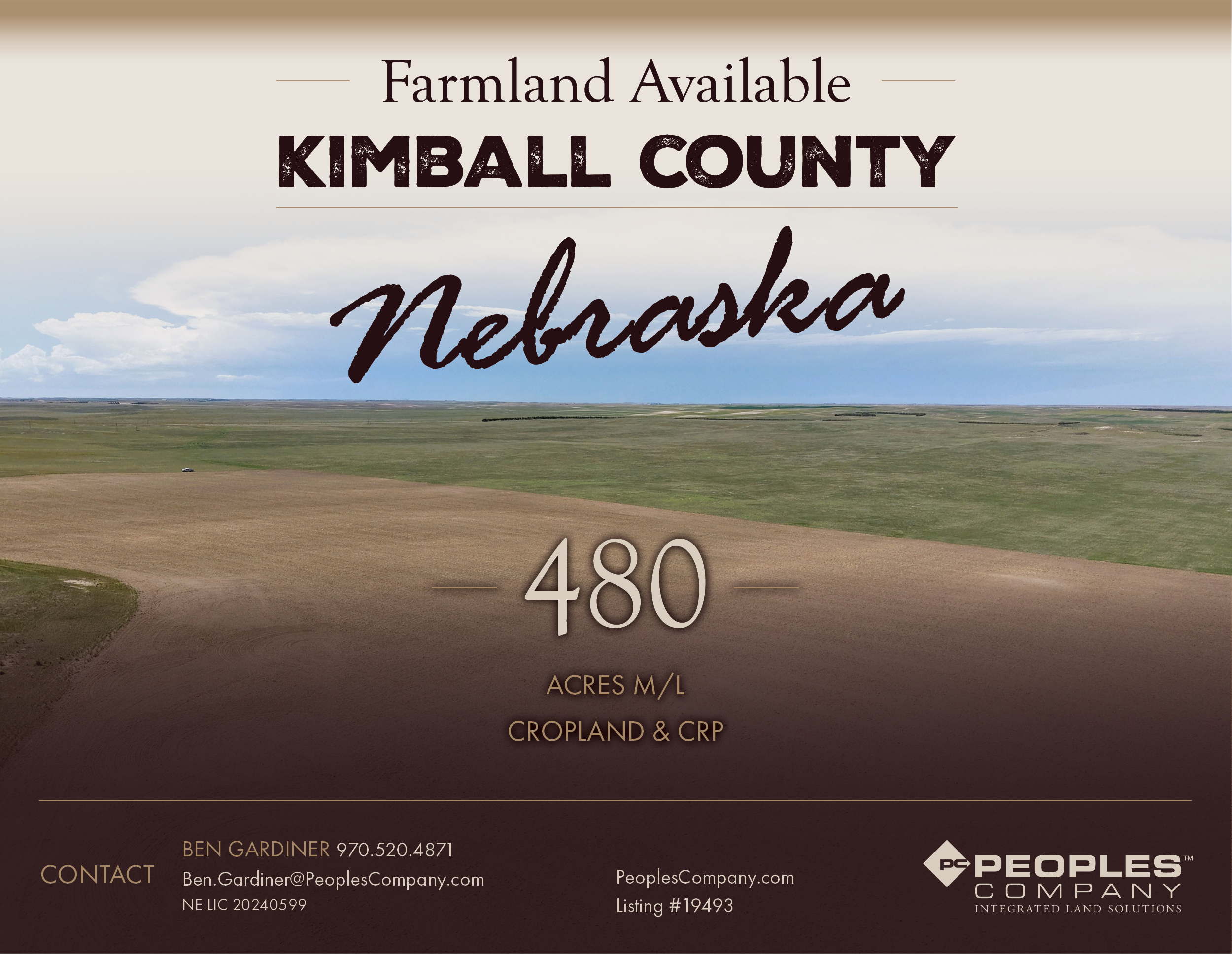 Listing #19493
